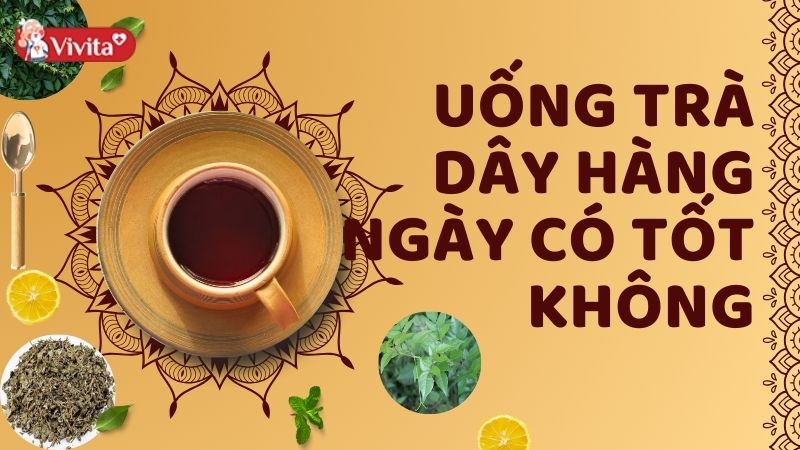 uống trà dây hàng ngày có tốt không