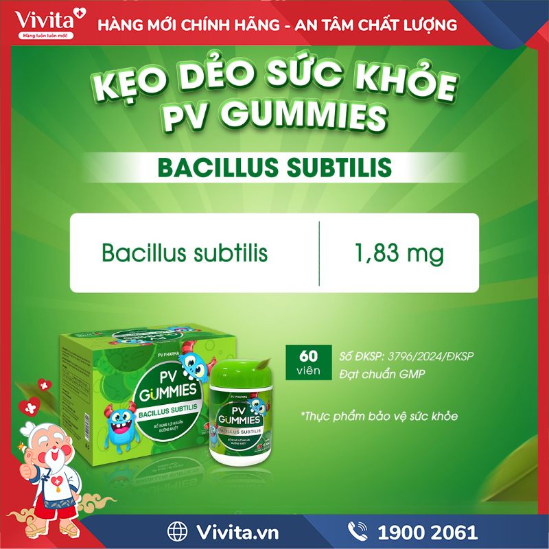 Thành phần PV Gummies Bacillus Subtilis