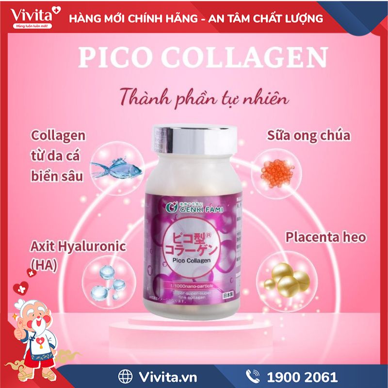 Thành phần của Pico Collagen 