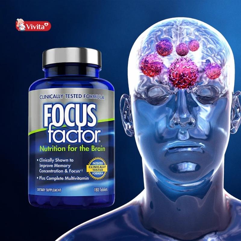 Thành phần chính của Focus Factor