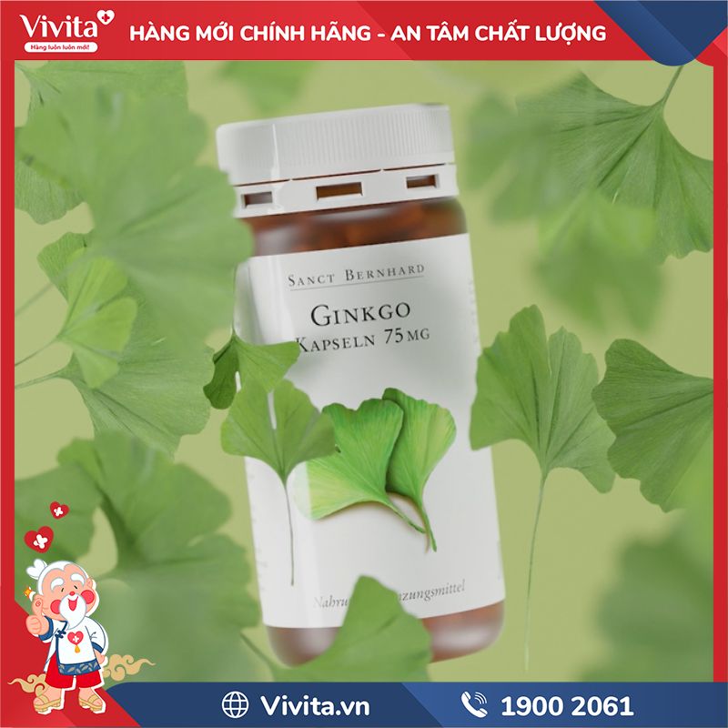 Cách dùng GINKGO Kapseln