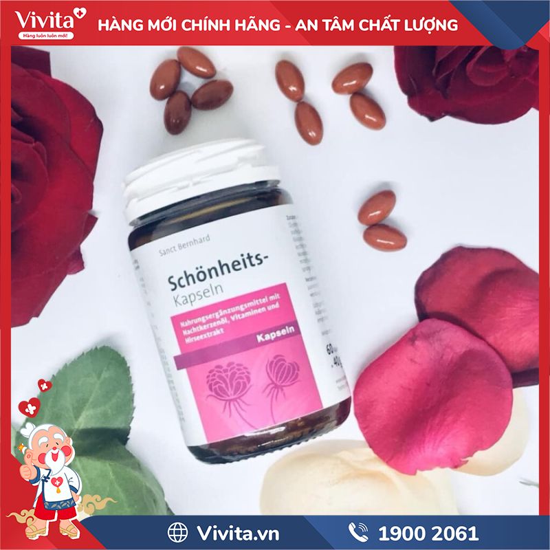 Dầu Hoa Anh Thảo Sanct Bernhard chính hãng
