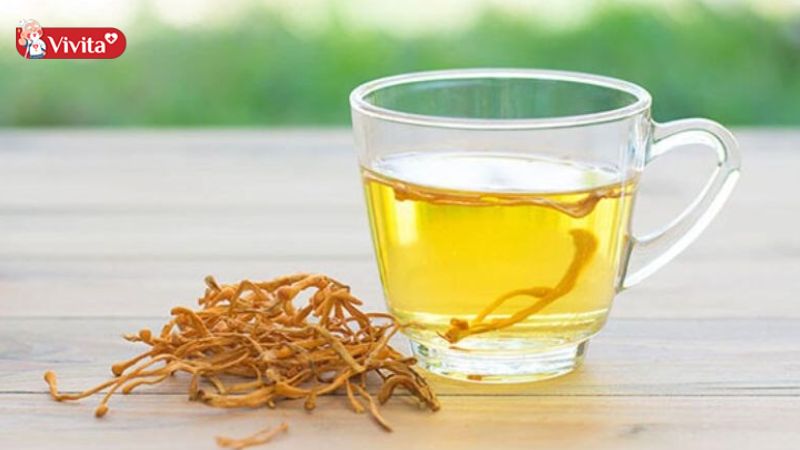 Đông Trùng Hạ Thảo là bài thuốc có nhiều lợi ích cho sức khoẻ