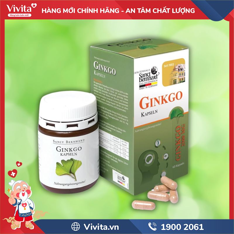 GINKGO Kapseln chính hãng
