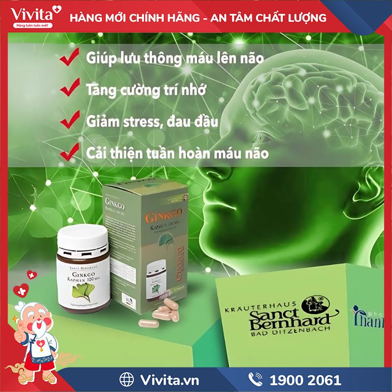 GINKGO Kapseln có tốt không?