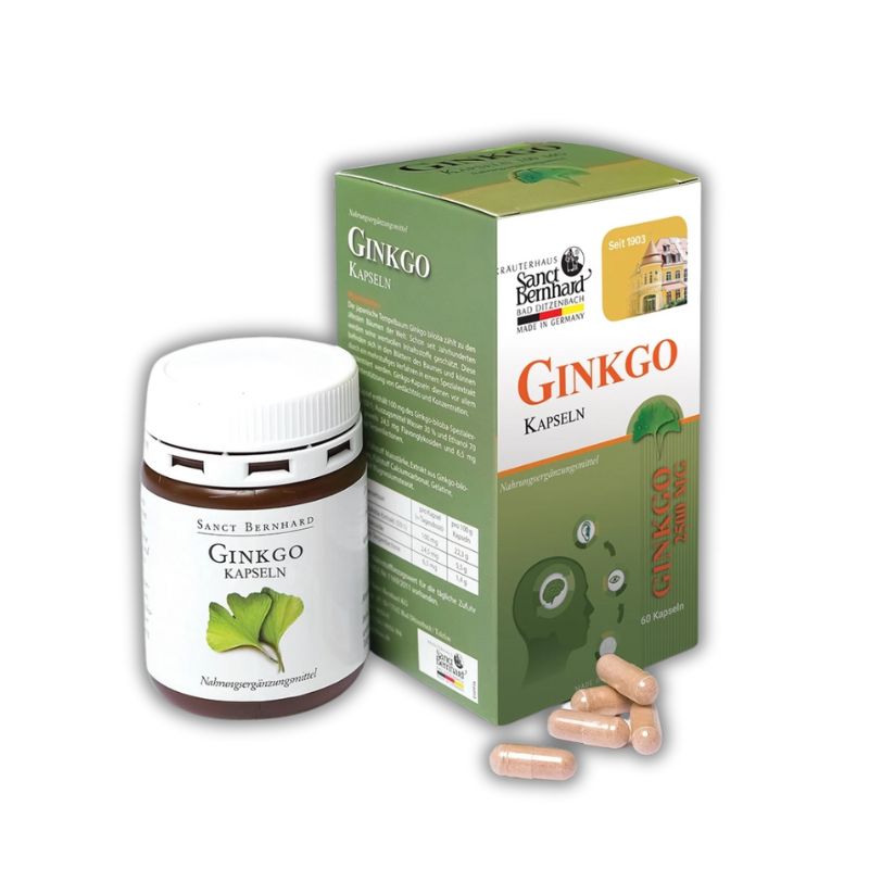 GINKGO Kapseln Đức Viên Uống Hỗ Trợ Bổ Não (Hộp 60 viên)