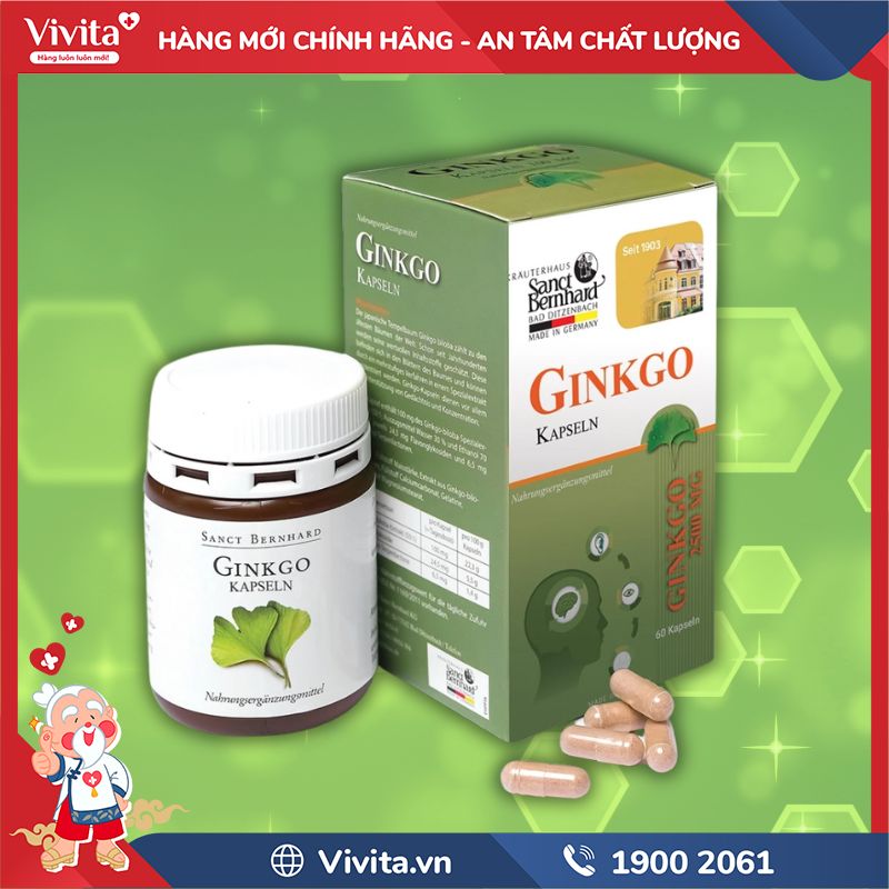 Sản phẩm GINKGO Kapseln