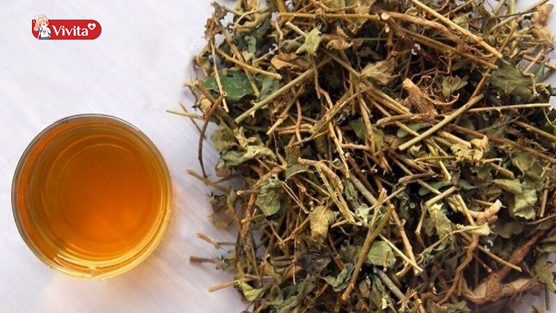 Cay-Ca-Gai-Leo-Co-Giam-Mo-Bung-Khong-Su-That-Can-Biet