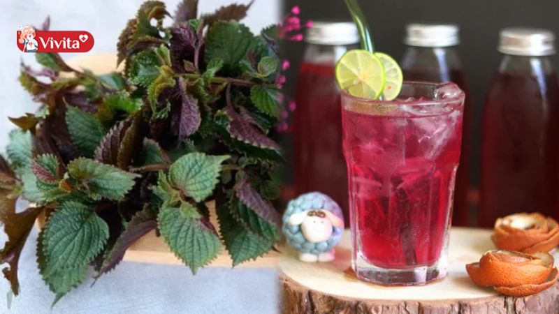 Cách pha trà tía tô khá đơn giản, dễ thực hiện tại nhà