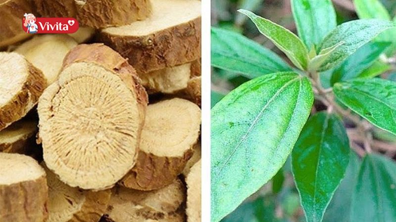 Những lưu ý khi dùng Khổ Sâm