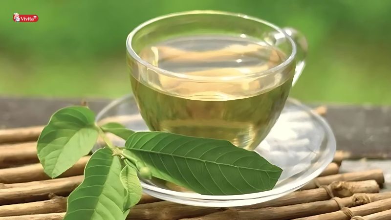 Uống nước lá ổi bao nhiêu là đủ?