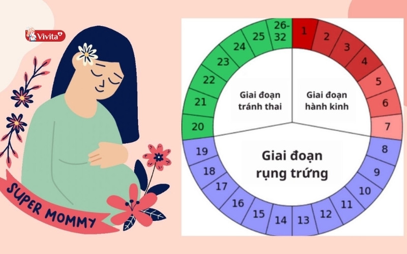 Chu kỳ dài có ảnh hưởng đến sức khỏe sinh sản không?