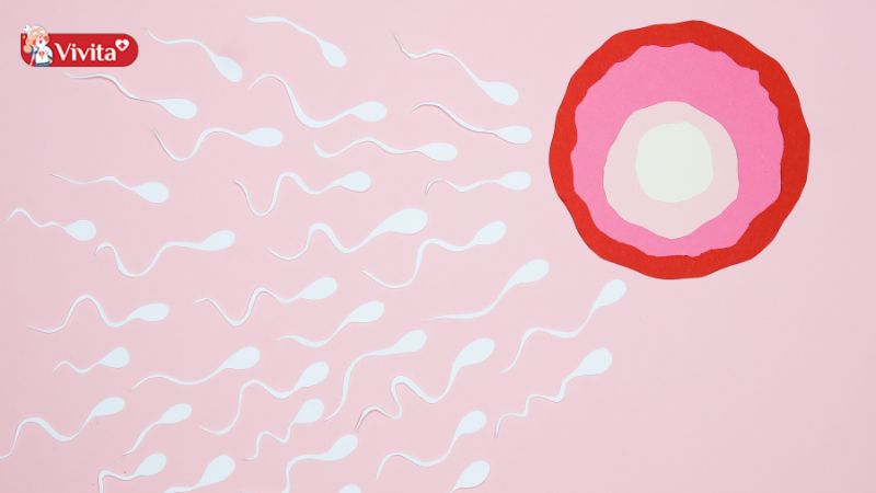 Chu kỳ kinh nguyệt là gì?