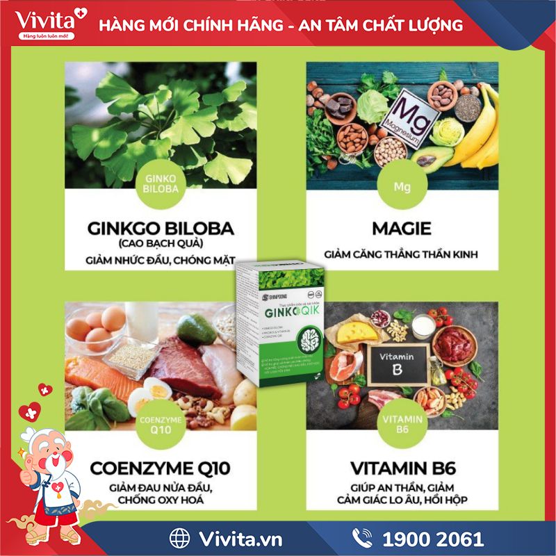 Thành phần GinkoQIK