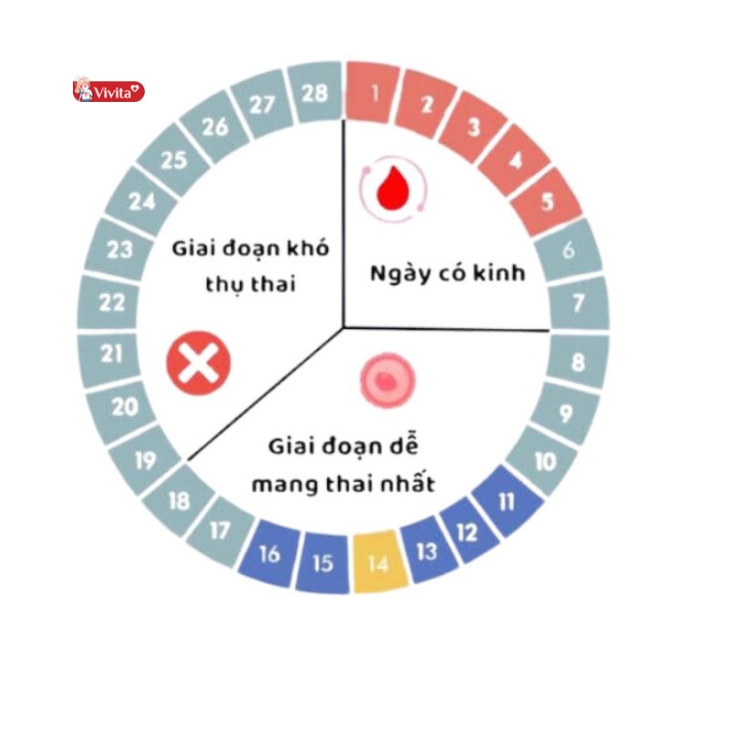 xác định chu kỳ kinh nguyệt