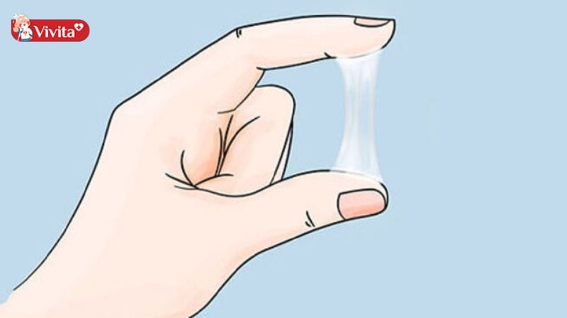 Tăng dịch nhầy cổ tử cung là dấu hiệu dễ nhận biết nhất của rụng trứng