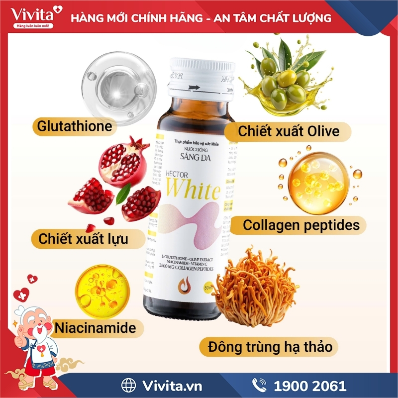 Thành phần Hector White Đông Trùng Hạ Thảo