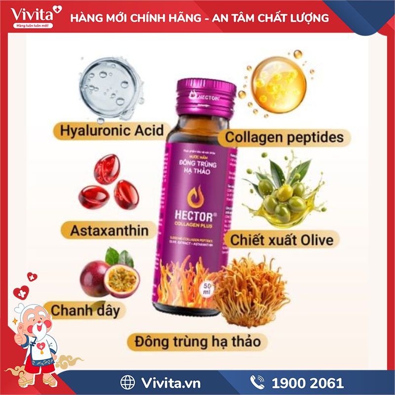 Thành phần Nước Nấm Đông Trùng Hạ Thảo Hector Collagen Plus