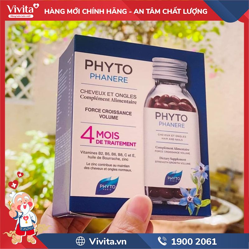 Thành phần Phyto Phanere