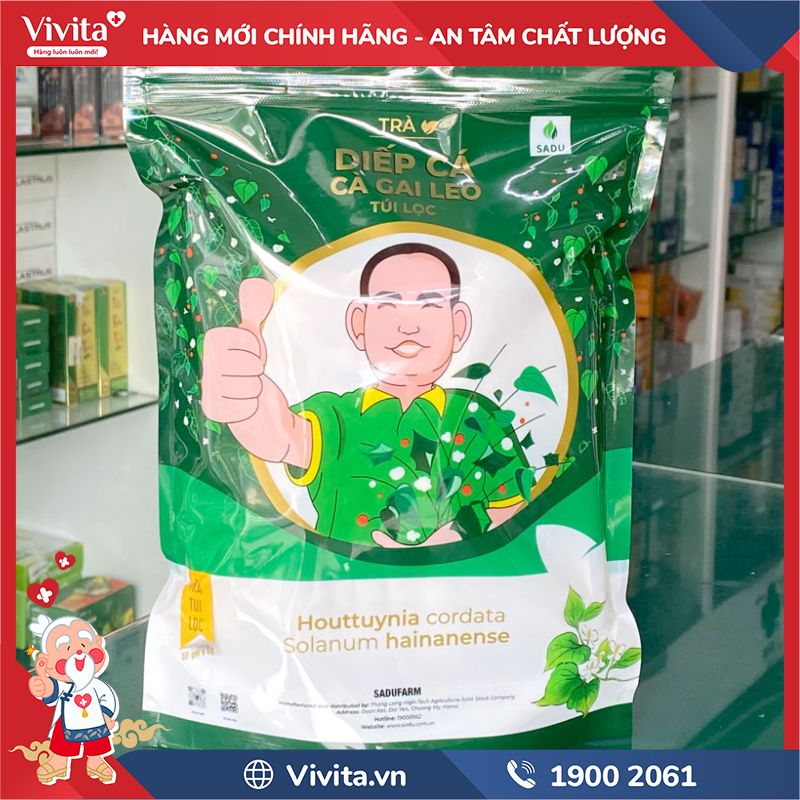 Trà Cà Gai Leo Diếp Cá Sadu chính hãng