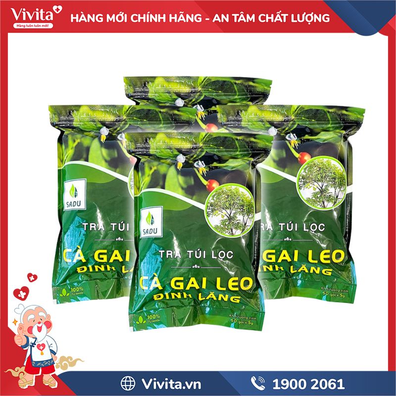 Trà Cà Gai Leo Đinh Lăng Sadu có tốt không?