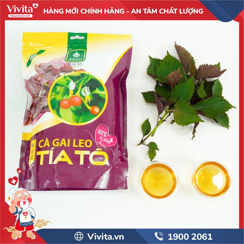 Trà Cà Gai Leo Tía Tô Sadu có tốt không?