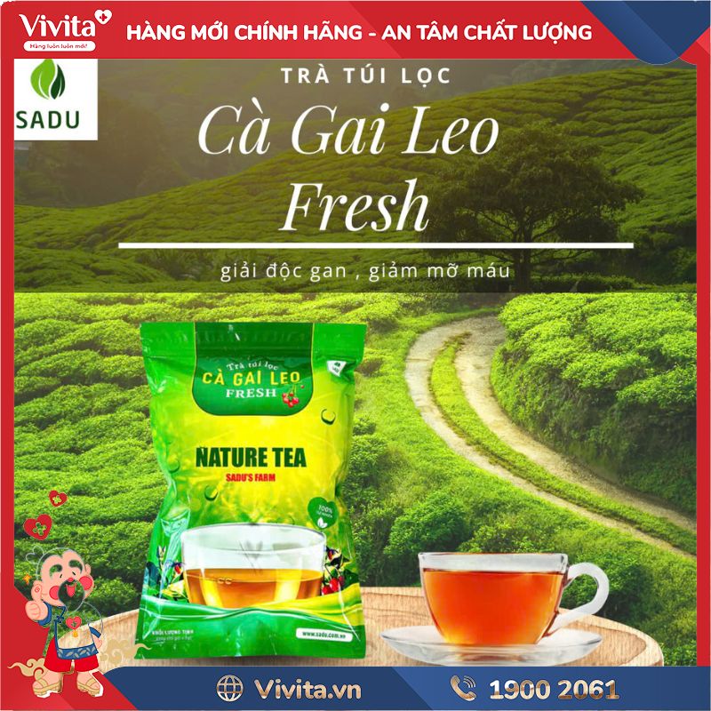 Công dụng của Trà Cà Gai Leo Táo Mèo Sadu 