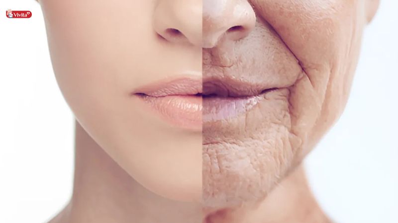 Hỗ trợ chống oxy hóa, làm chậm quá trình lão hóa
