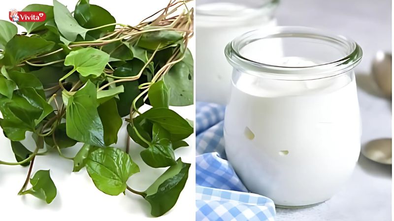 Mặt nạ diếp cá + sữa tươi