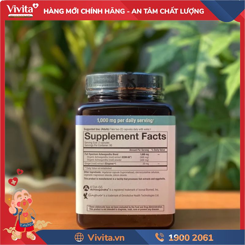 Thành phần của Youtheory Ashwagandha