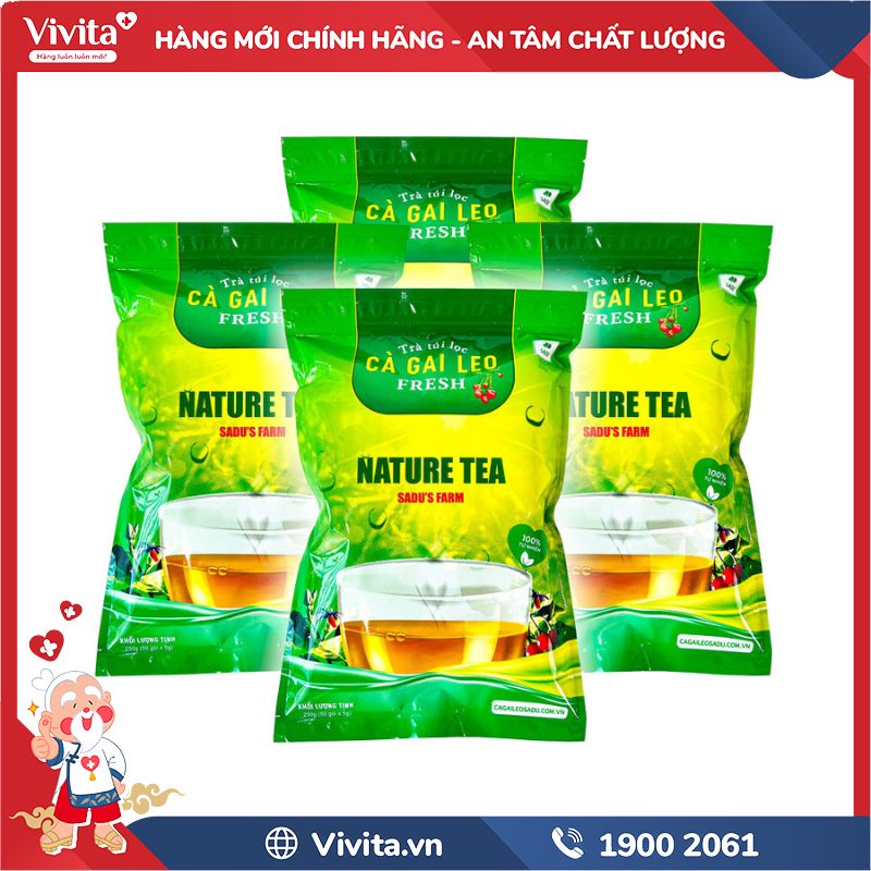 Trà Cà Gai Leo Táo Mèo Sadu có tốt không? 