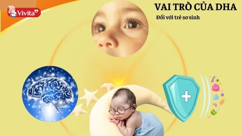 dha cho trẻ sơ sinh
