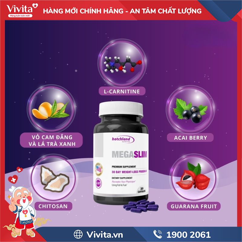 Thành phần của Mega Slim