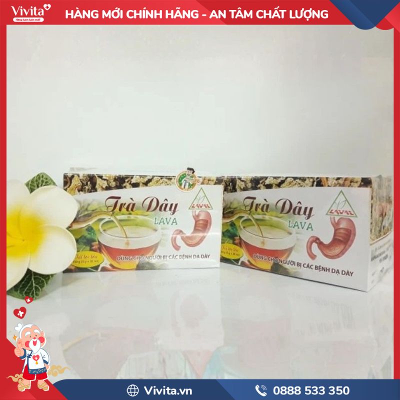 Trà Dây Lava có tốt không?