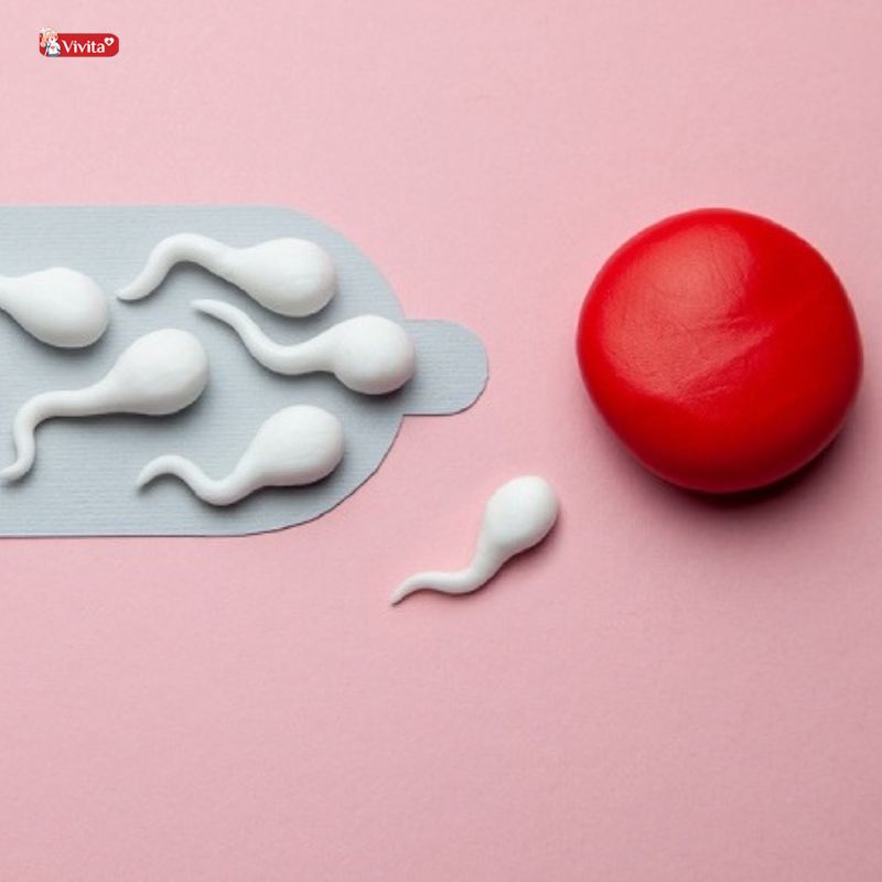 biện pháp phòng ngừa mang thai