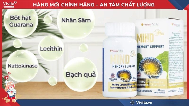 Thành phần của Mind Plus