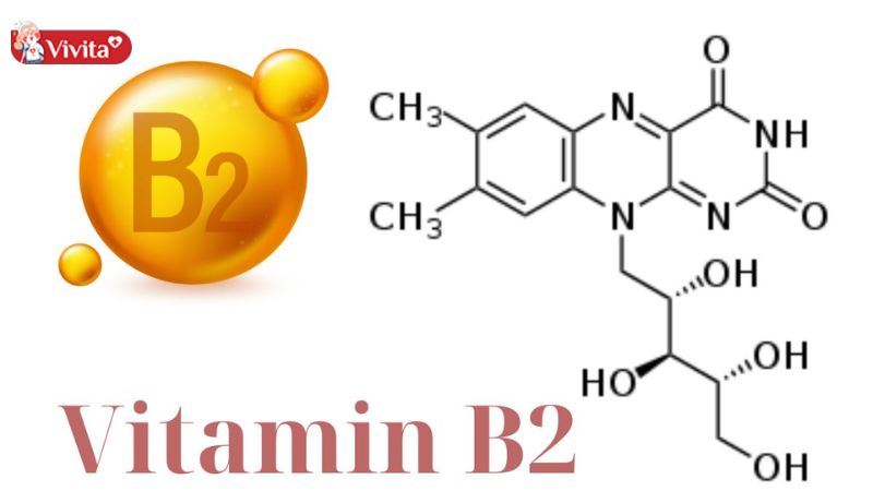 Vitamin B2 mang đến nhiều lợi ích tốt cho sức khoẻ khi bổ sung đầy đủ