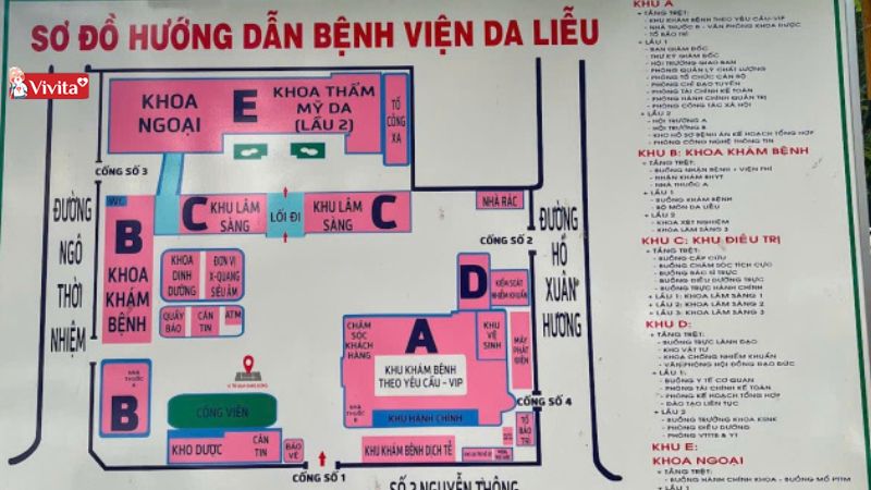 sơ đồ hướng dẫn da liễu trung ương