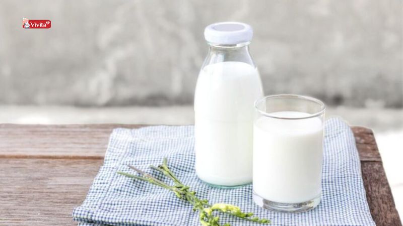 sữa và các sản phẩm từ sữa chứa vitamin b12