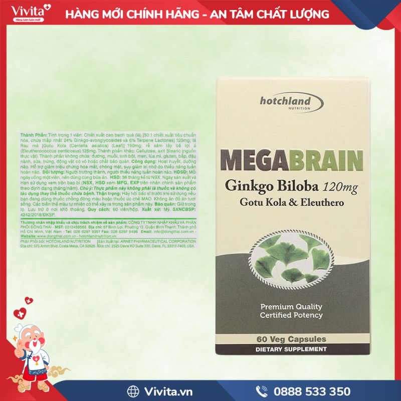 Thành phần Mega Brain