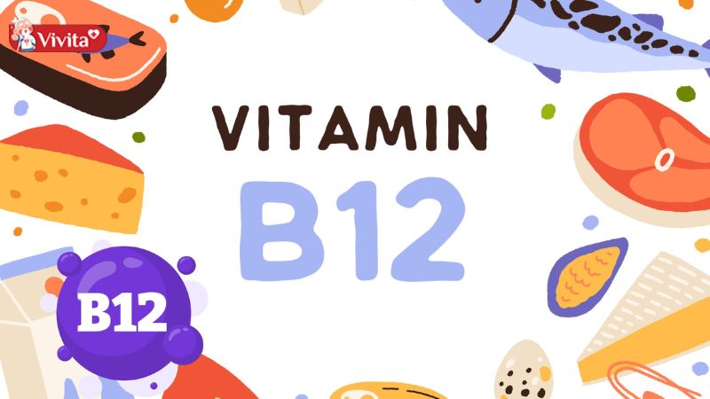 vitamin b12 bán ở đâu