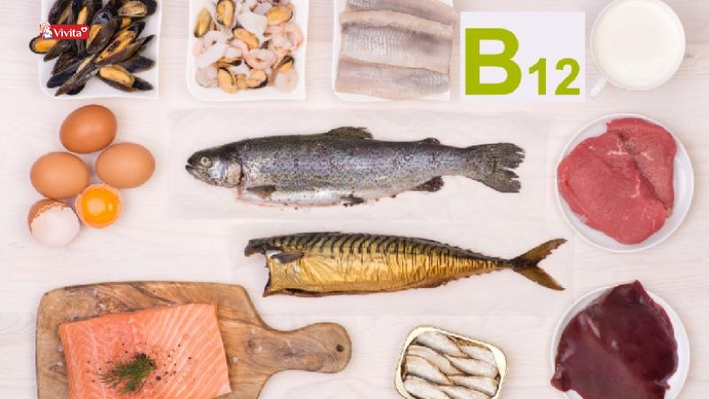 vitamin b12 có trong thực phẩm
