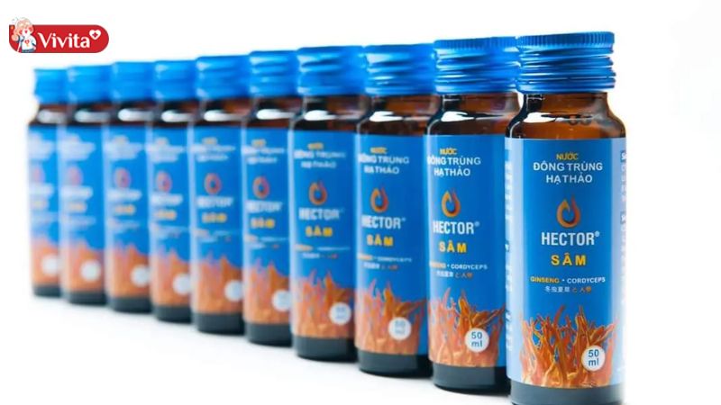Hector Sâm Nước Đông Trùng Hạ Thảo hỗ trợ tăng cường sinh lực