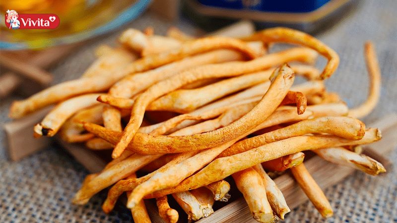 đông trung hạ thảo có tác dụng gì