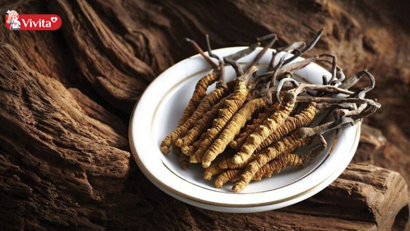 đông trung hạ thảo có tác dụng gì