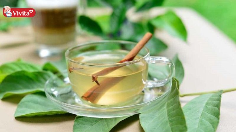 Nước lá vối có nhiều lợi ích tốt cho sức khoẻ