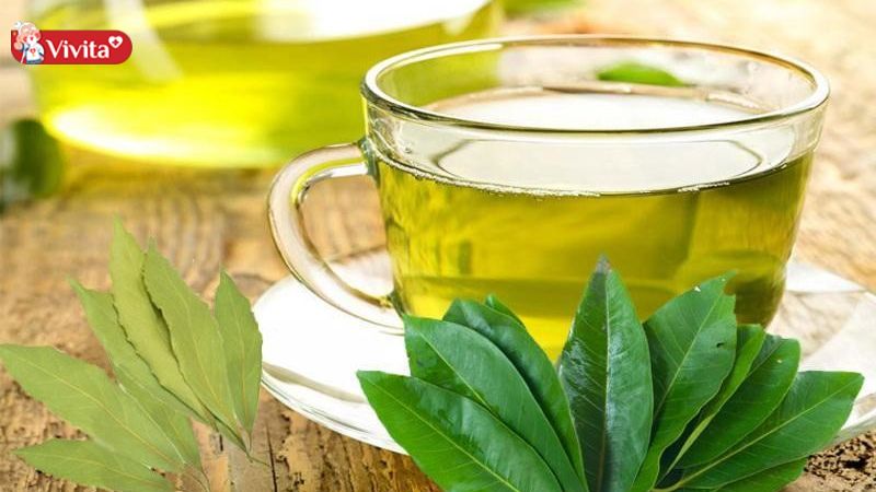 uống nước lá vối mỗi ngày có tốt không 