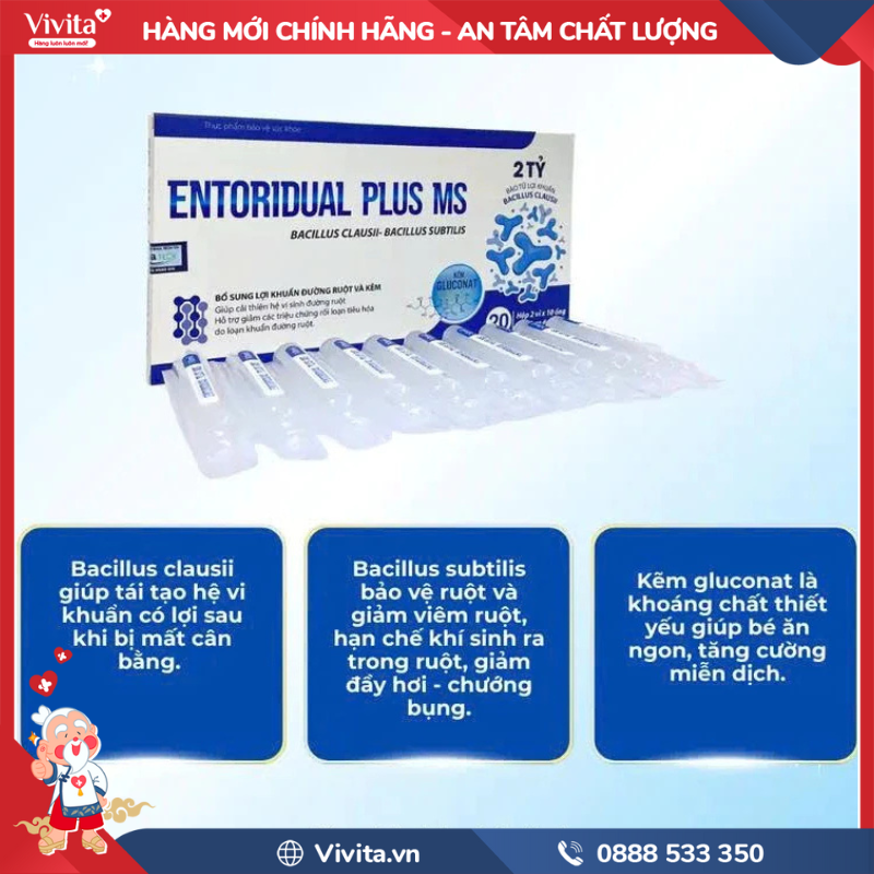 Entoridual Plus MS có tốt không