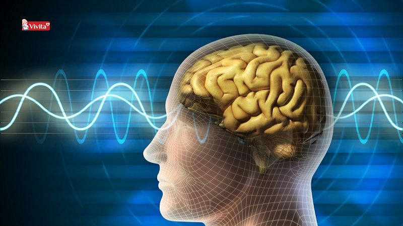 trí nhớ ngắn hạn để lưu trữ thông tin