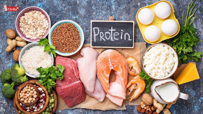 Giảm cân với protein động vật